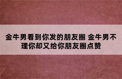 金牛男看到你发的朋友圈 金牛男不理你却又给你朋友圈点赞